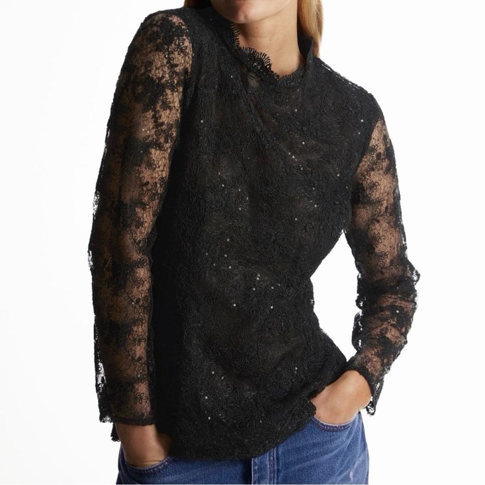 Zara blouse Sequins Lace sheer M Black Dark romantic Crew Neck Whimsigoth indie